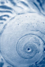 iStock_000006748804XSmall.jpg